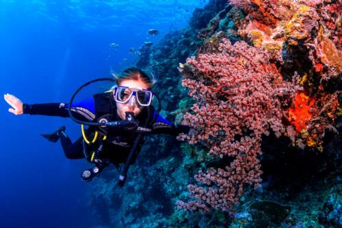 The Conflict Islands, Papua New Guinea, remote AMAZING diving!