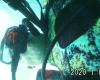 David from Palm Beach Shores FL | Scuba Diver