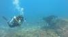 Diving in La Paz with playful sea lions :)