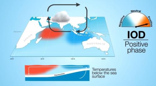 Diving on the wrong side of the Indian Ocean Dipole