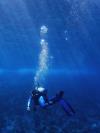 Dive from Los Angeles CA | Scuba Diver