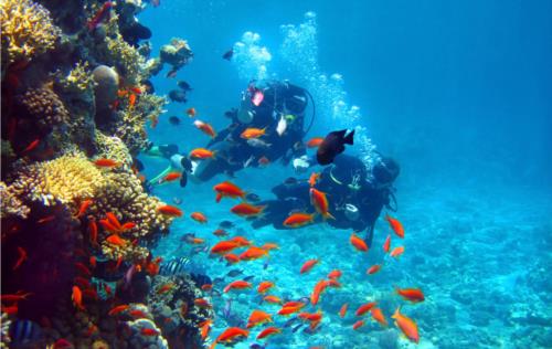 Similan Islands - Thailand.