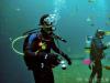 Pedro from Tampa FL | Scuba Diver