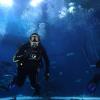 Rae from Miami FL | Scuba Diver