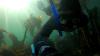 Danelle from Cape Town Western Cape | Scuba Diver