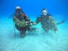 Dive Buddy For Devils Den Blue Grotto on Nov 18th