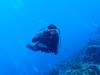 Pei Goh from   | Scuba Diver