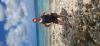 Michelle from Owatonna MN | Scuba Diver
