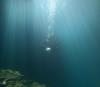 Keith from Beverly Hills FL | Scuba Diver