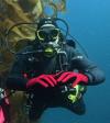 Bob from Peoria AZ | Scuba Diver