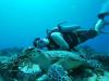 Lou from Wheaton IL | Scuba Diver