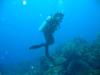 TRIDENT DIVER CLUB - Online Dive Club