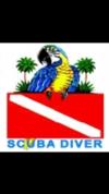 Parrot Island Divers
