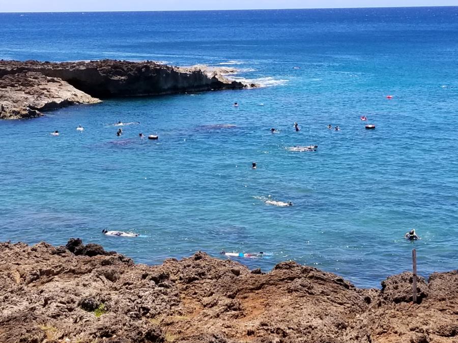 Shark’s Cove - Sharks cove, oahu