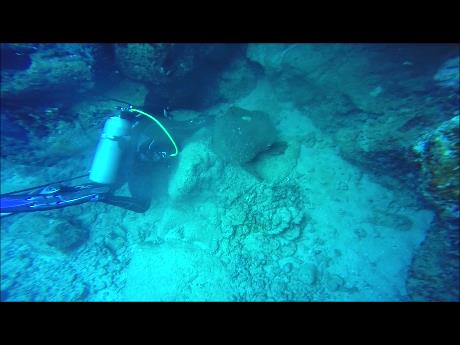 Sheraton Caverns - Turtle Rescue from String