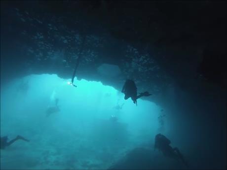 Blue Grotto Dive Resort - Diver Down