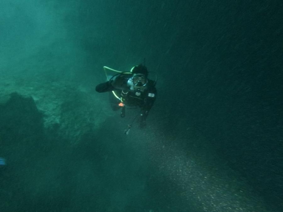 Blue Grotto Dive Resort - Blue grotto