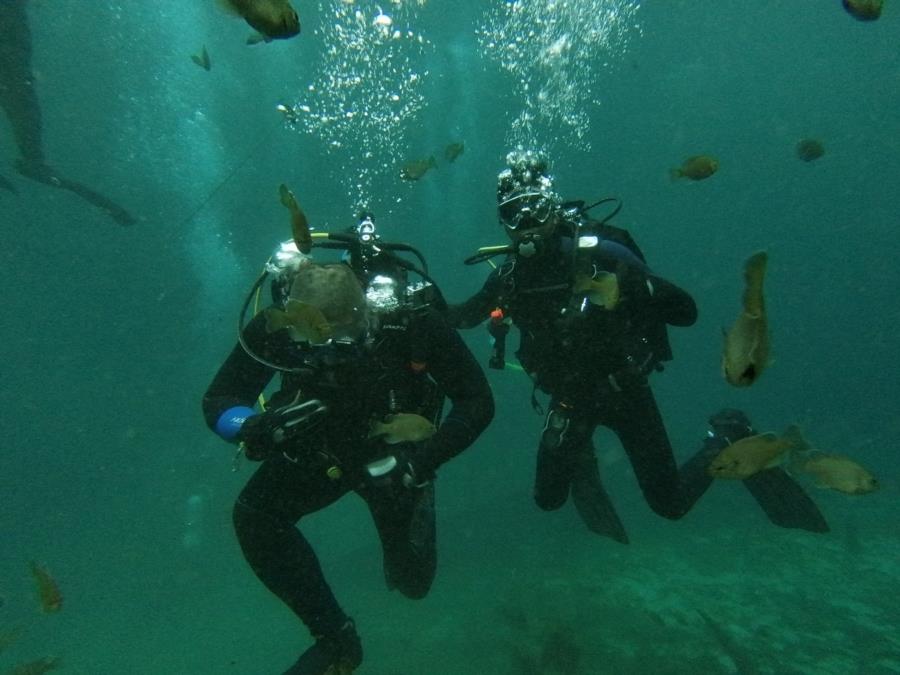 Blue Grotto Dive Resort - Blue grotto