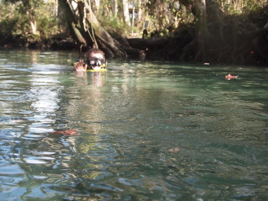 Three Sisters Spring - Channel from canal to springs