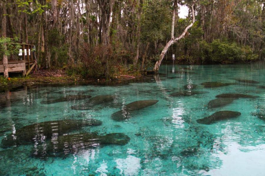 Three Sisters Spring - Never like this when I was there :(