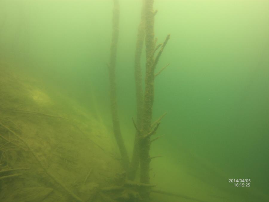 Lake Wazee - Black River Falls - Sherwood Forest, Wazee Lake WI