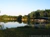 View of the dock - bottom_feeder