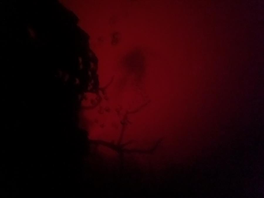 Hudson Grotto - Dark and red, always.