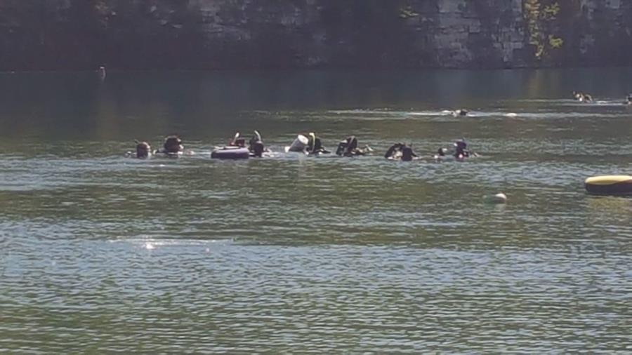 France Park - Divers out in the water