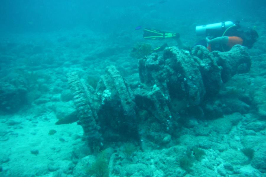 John Pennekamp Coral Reef State Park - Pennycamp Key largo