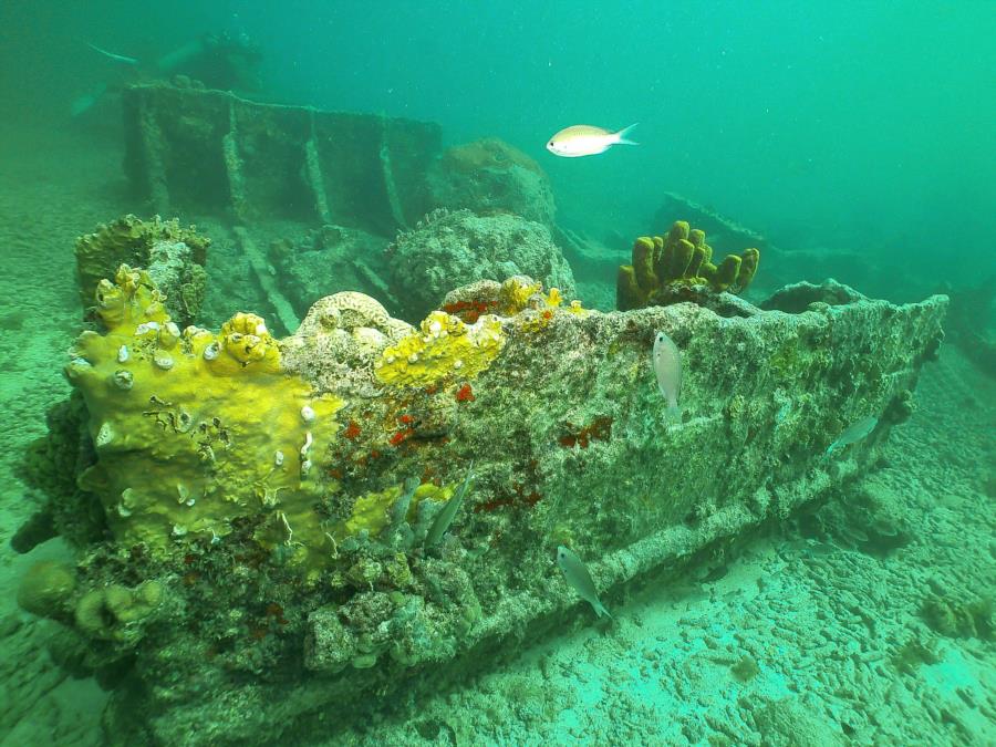 Pendernales Wreck aka Pedernales - Pedernales