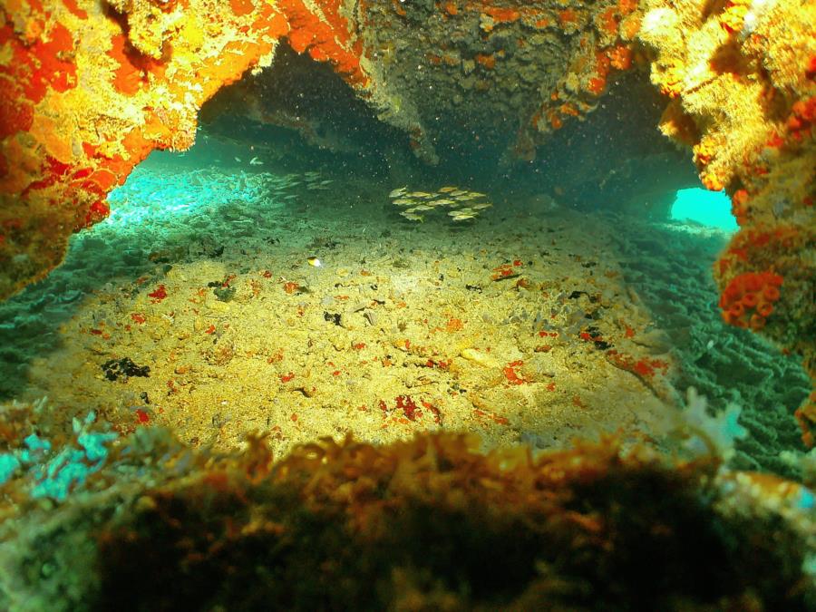 Pendernales Wreck aka Pedernales - Pedernales