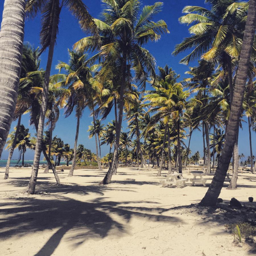 Half Moon Key (Caye) Wall - Caye