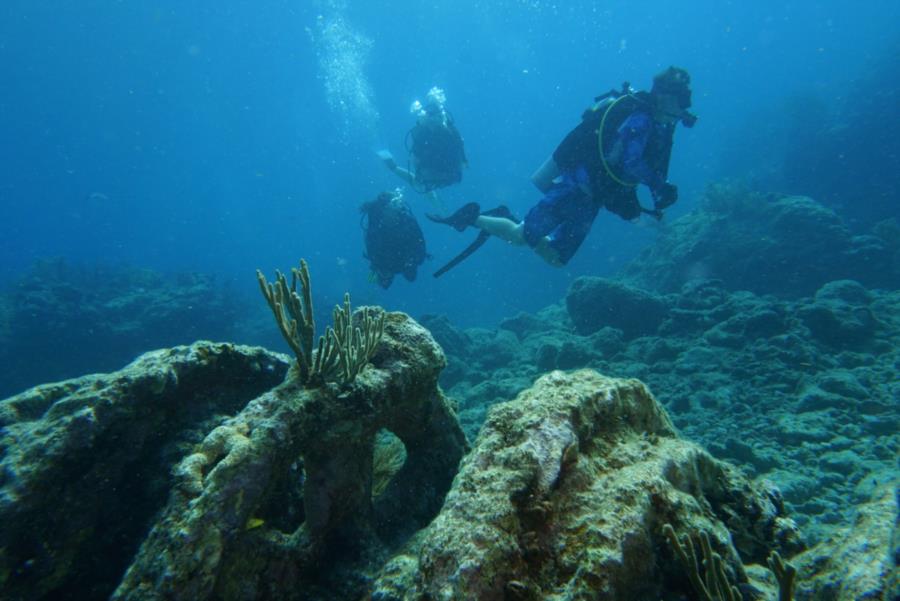 Winch Hole - Getting some reef time