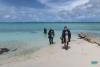 Lac Cai Shore Diving Remora Treasure By The Sea Bonaire - TreasureByTheSeaBonaire