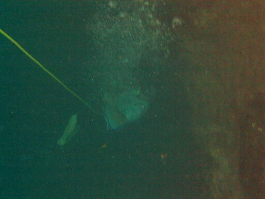 Hospital Hole, Weeki Wachee River - Steve 45 ft at hospital hole