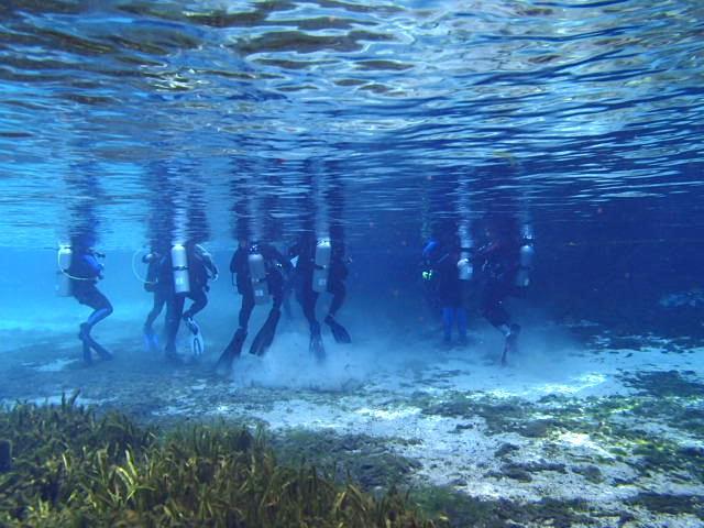 Alexander Springs - Group of divers getting ready