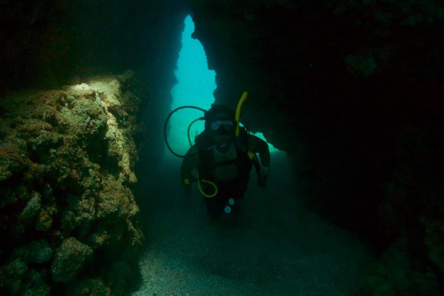 Islas Marietas - Sea life at marietas