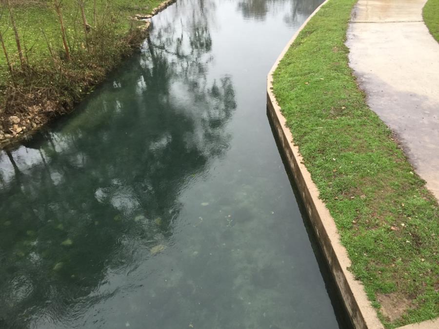 Comal River - New Braunfels Comel river