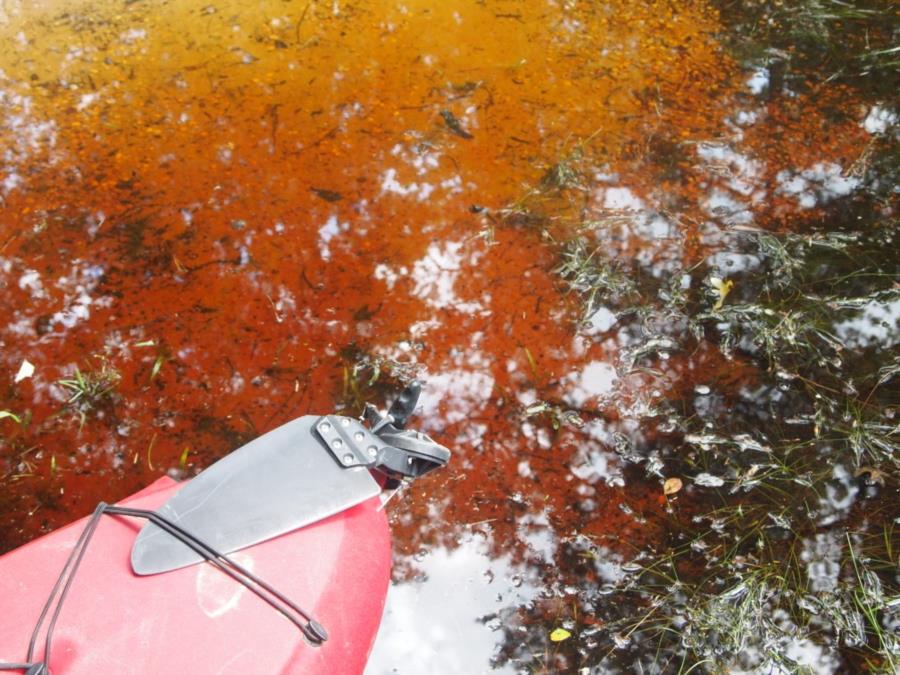 Blue Hole "The Devil’s Bathtub" - Blue Hole has cedar water 7-17-2015