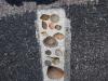St. Andrews State Park Jetties - Kiddie Pool - Shells