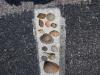 Shells - BillParker