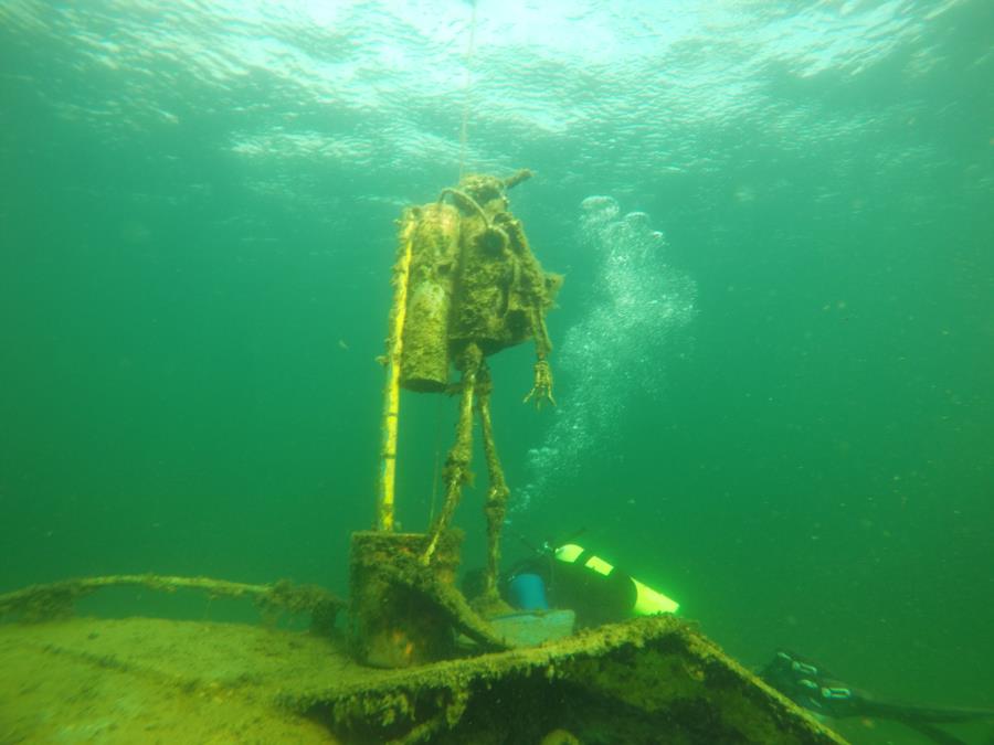 Natural Springs - New Years Day Dive