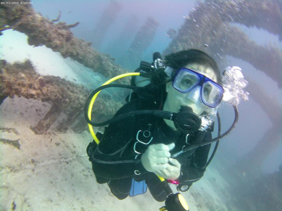 Neptune Memorial Reef - Jana swimthru