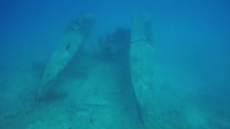 Japanese Seaplane - Japanese Seaplane