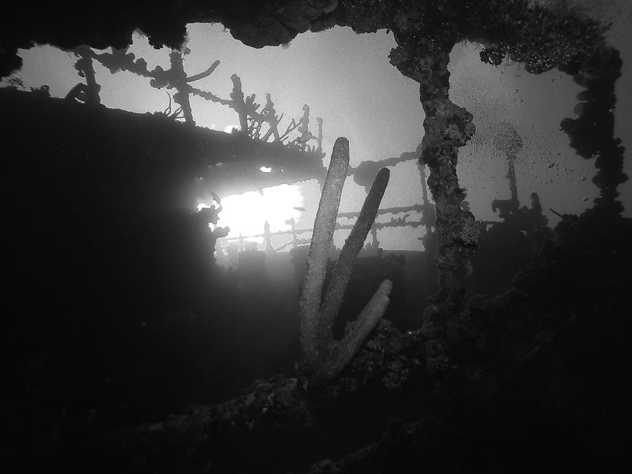 Antilla Wreck - Antilla