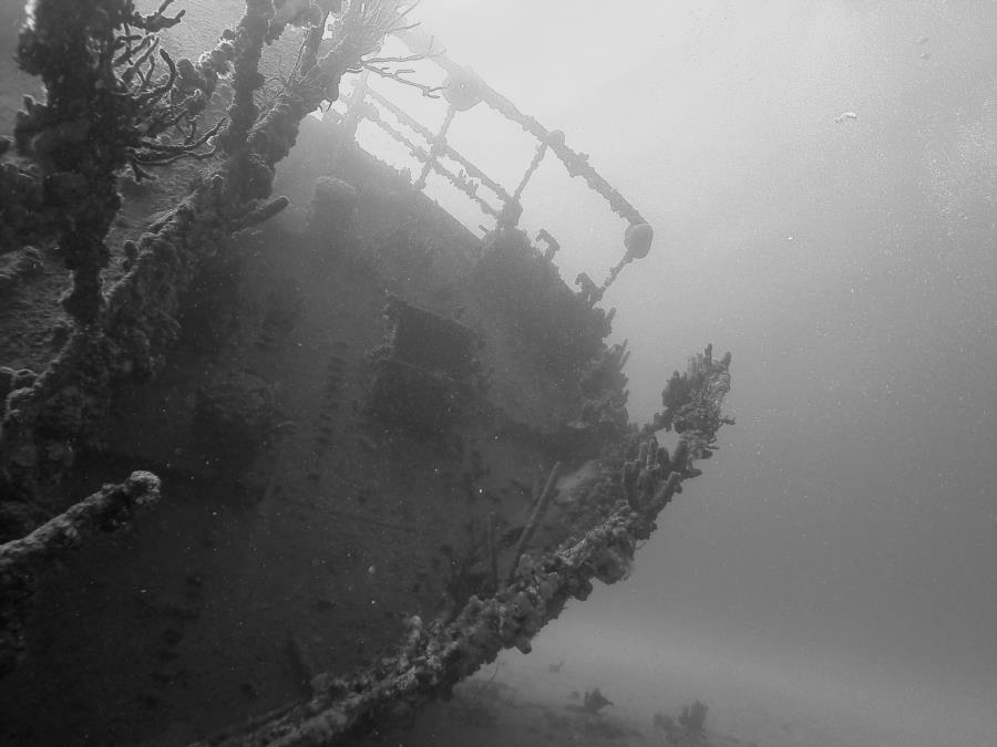 Antilla Wreck - Antilla