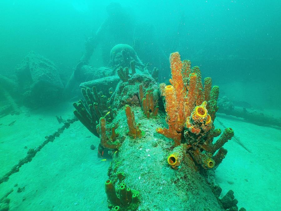 Antilla Wreck - Antilla