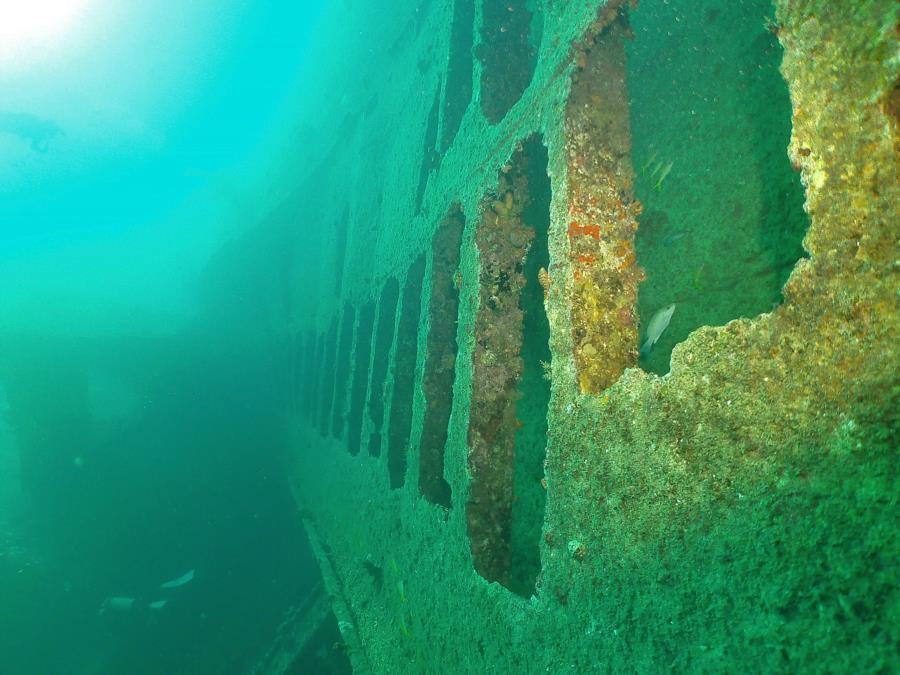 Antilla Wreck - Antilla