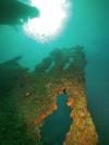 Antilla Wreck - Antilla