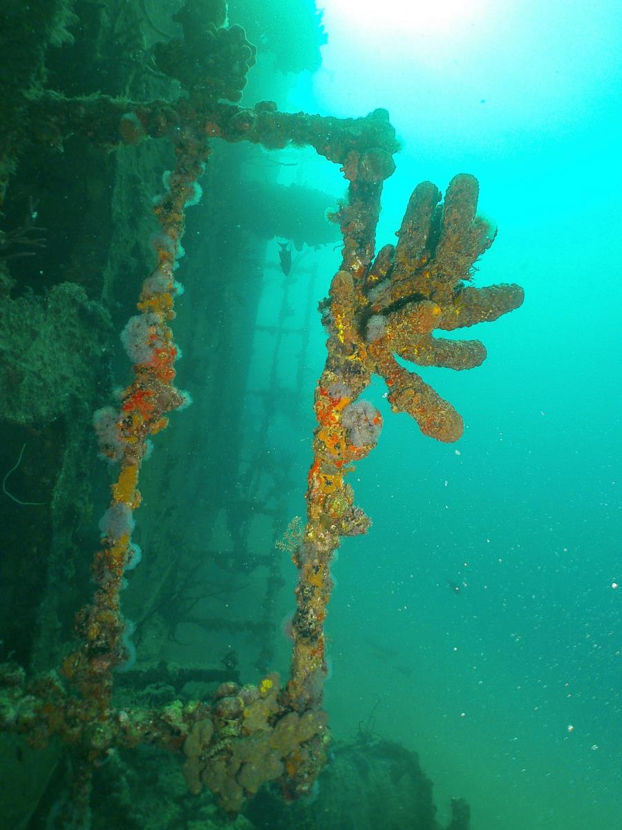 Antilla Wreck - Antilla